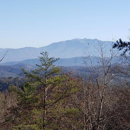 Lazy Bear Cabin Sevierville Zewnętrze zdjęcie