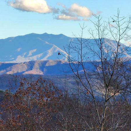 Lazy Bear Cabin Sevierville Zewnętrze zdjęcie