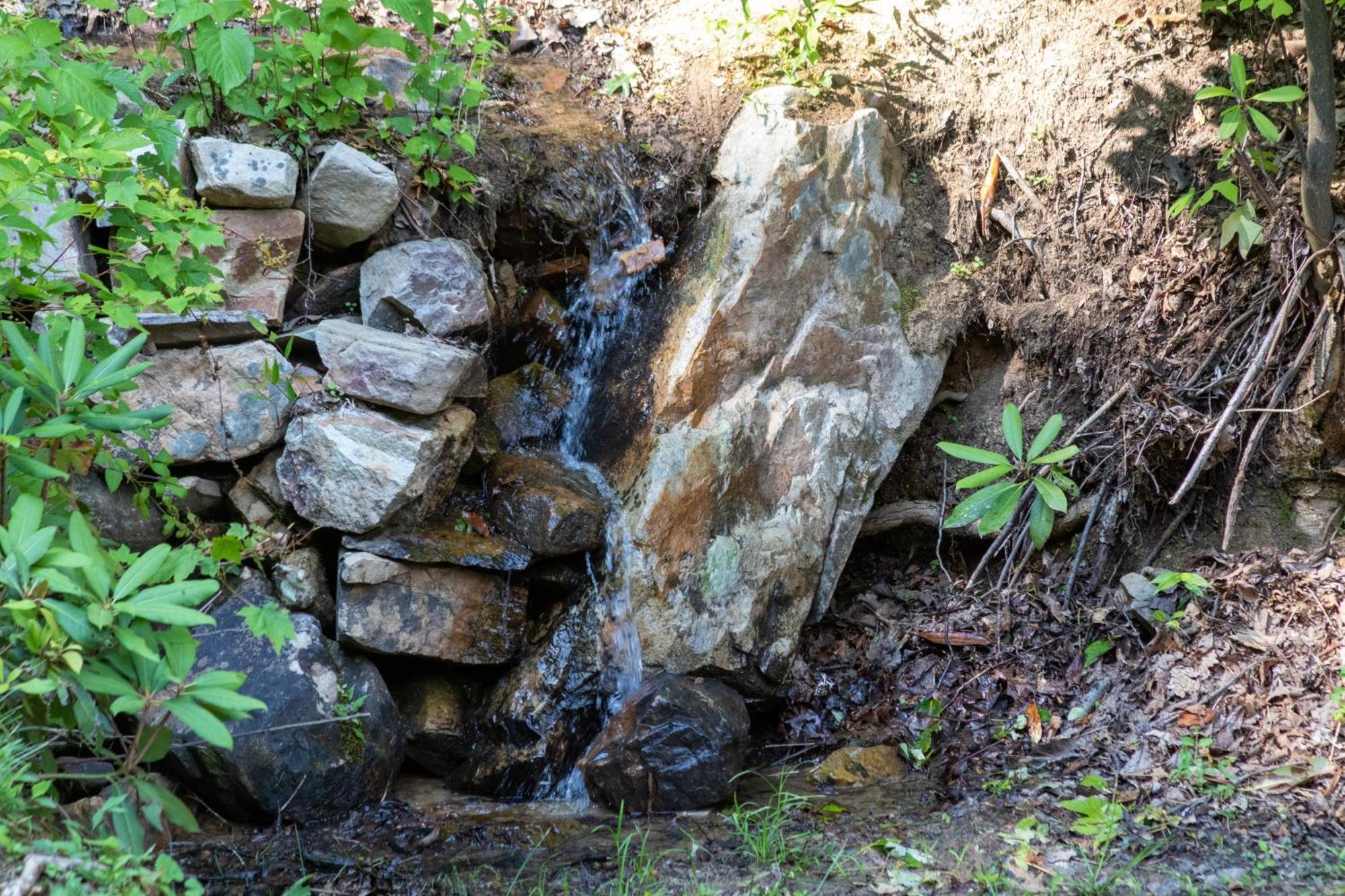 Lazy Bear Cabin Sevierville Zewnętrze zdjęcie