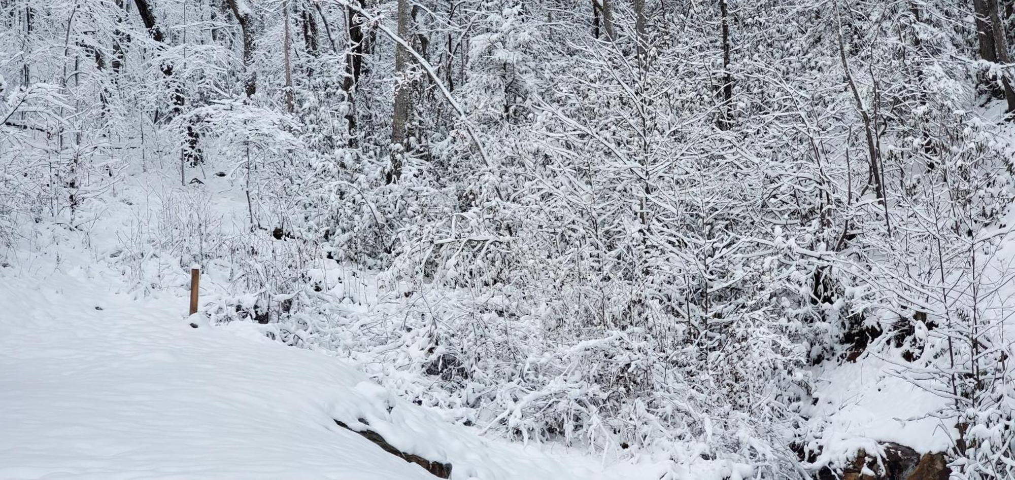 Lazy Bear Cabin Sevierville Zewnętrze zdjęcie