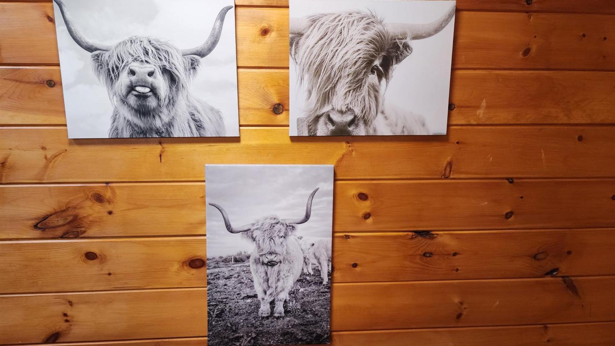 Lazy Bear Cabin Sevierville Zewnętrze zdjęcie