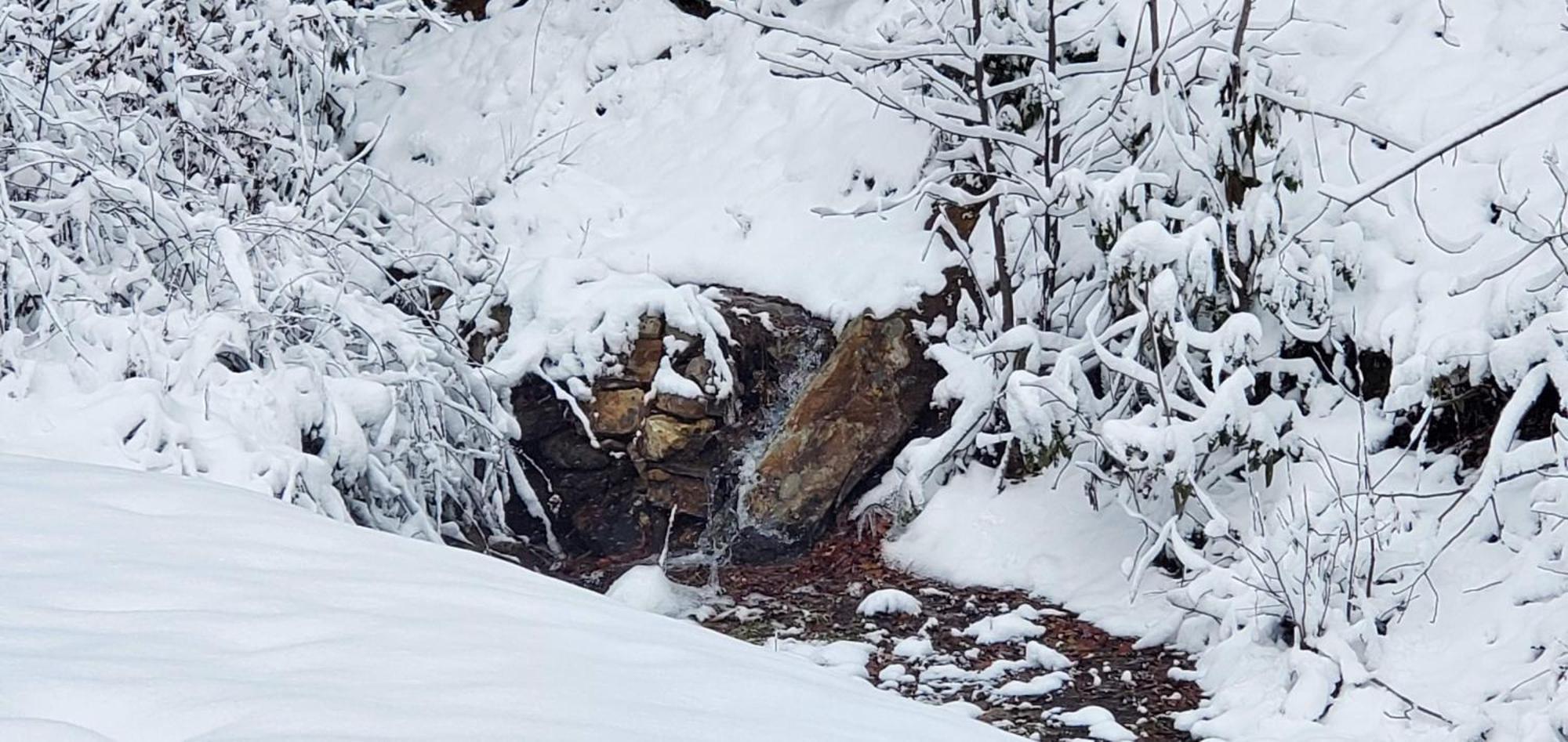 Lazy Bear Cabin Sevierville Zewnętrze zdjęcie